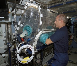 Figure 11.1. Cell growth experiments in very low gravity fields, using a so-called “glove box” experimental apparatus (Courtesy of NASA).